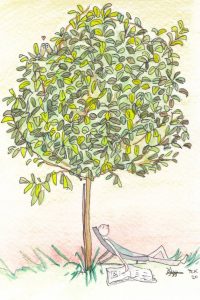 Dessin stylo et aquarelle : personne sur reposant sur un transat à l'abri d'un arbre. 3 mésanges sont dissimulées dedans