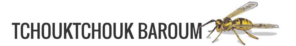 Logo Tchouktchouk Baroum guepe
