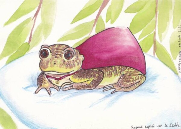 Aquarelle : petit crapaud vêtu d'une cape rose et d'un grelot