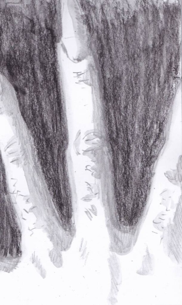 Dessin au crayon : doigts crochus