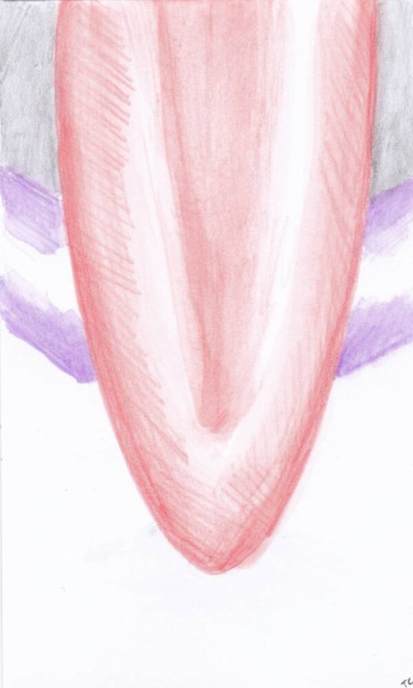 Dessin au crayon : langue ?