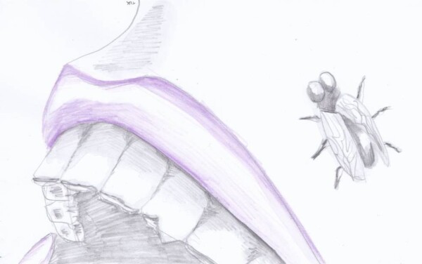 Dessin au crayon : gros plan sur une bouche ouverte, avec une mouche à côté