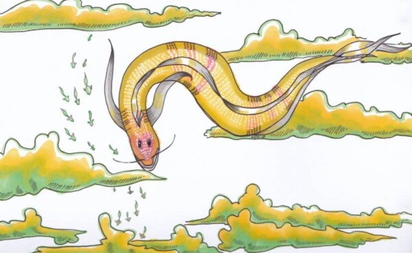 Dessin au stylo et feutres : serpent volant dans les nuages, entouré d'un banc de poissons