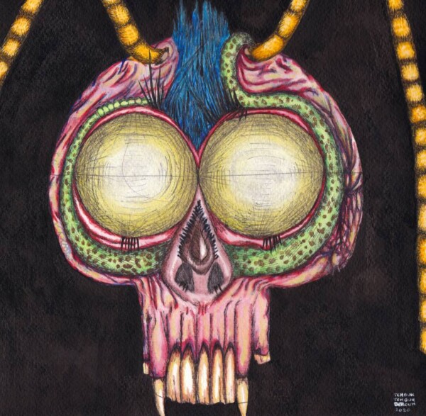 Aquarelle et acrylique : crâne rose avec dents longues, yeux de mouches, poils bleutés, queue de serpent et antennes d'abeille sur fond noir