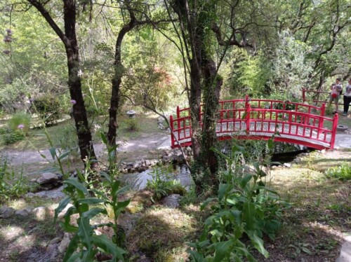 Jardin japonais, pont rouge - Musée promenade de Dignes les bains - Haute provence